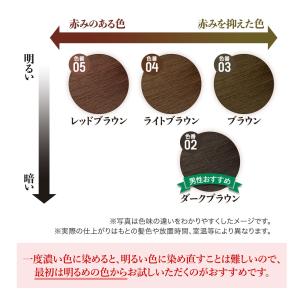 白髪染め マルベールロイヤルカラーEXプラス【...の詳細画像4