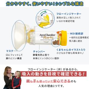 【正規品】エアロチャンバー・プラス 静電気防止...の詳細画像2