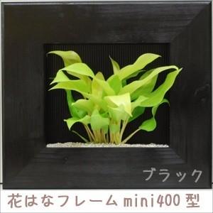 花はなフレーム mini 400型 ブラック(ガーデニング/園芸/ギフト/額縁/花/寄せ植え) 1-2W｜kireispot