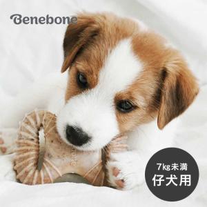 Benebone ベネボーン 2パック パピー ベーコン ウィッシュボーン＆デンタルチュー(犬 7kg 未満 子犬 おもちゃ いぬ)｜kireispot