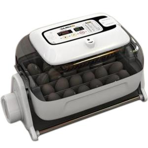 孵卵器 ベルバード ビッグママ20DO 鳥用 小型自動孵卵器