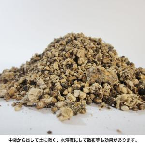 害獣・害虫忌避剤 ヒトデパンチ K14123(...の詳細画像2