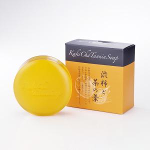 ヴィブリアン エスプリーナ RGII 濃密炭酸 マイクロミセラー バブル