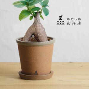 かもしか花卉店 かもしかポット＆ソーサー M(植木鉢 4.5号 約 4号 陶器 ポット 植木 鉢 小さい プランター 観葉植物 室内)｜kireispot