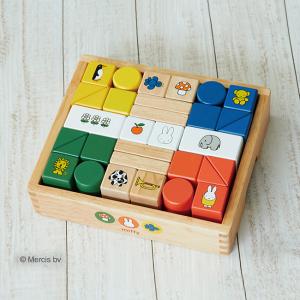 知育玩具〇セット　ハバ HABA積木ベビーブロック ファンタジー（木製）　＋　積み木（塗装ないしメーカー不明）　№１　 HABA ハバ社 積み木 ファンタジー 木のおもちゃ : ナチュラルベビー