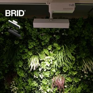 BRID LED スポットライト for プランツ 30W(植物育成ライト 植物育成LEDライト 植物 育成 ライト LEDライト 観葉植物)｜kireispot