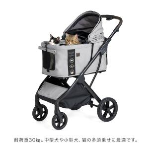 FikaGo フィカゴー AGILE アジャイ...の詳細画像2