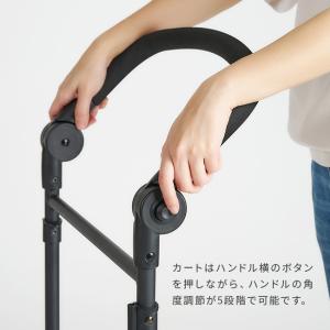 FikaGO KING&QUEEN S フィカ...の詳細画像5