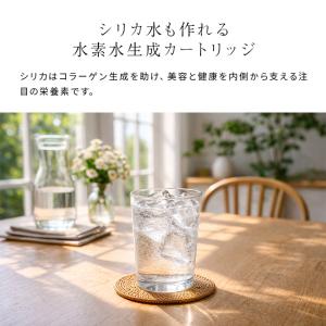 サンテエミュー カートリッジ シリカ入り(水素...の詳細画像4