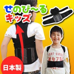 せのび〜る キッズ(5〜13歳対象 子供 キッズ 姿勢矯正 ベルト 猫背ベルト 背筋ベルト 日本製 ...