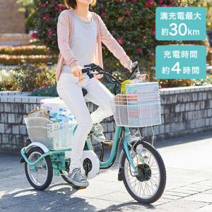 Bridgestone ブリヂストンアシスタワゴン電動アシスト三輪車 ブリヂストンの電動アシスト付三輪車「アシスタワゴン」登場