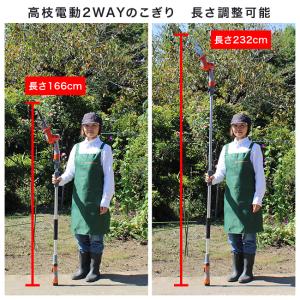 YARD FORCE ヤードフォース 12Vコ...の詳細画像3