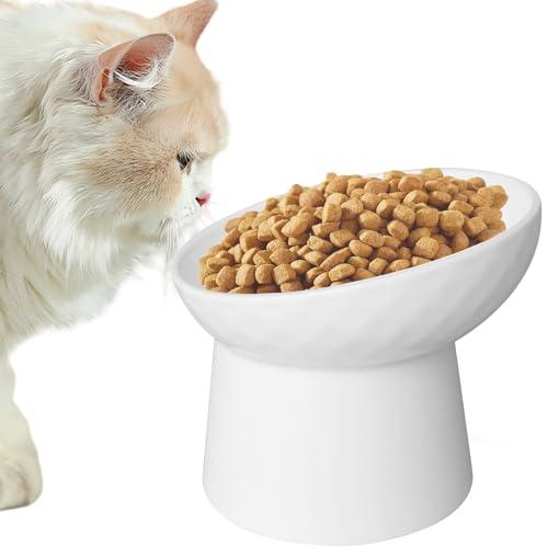 Athvcht 猫用フードボウル 陶器食器 15度の傾斜 首や腰の負担を軽減し 吐き戻し防止 猫用 ...