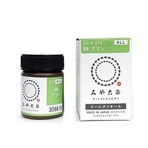 桂屋ファイングッズ(Katsuraya fine goods) 浸け染め染料 あらゆる繊維用 コールダイオール 20g グリン｜kirelab-net