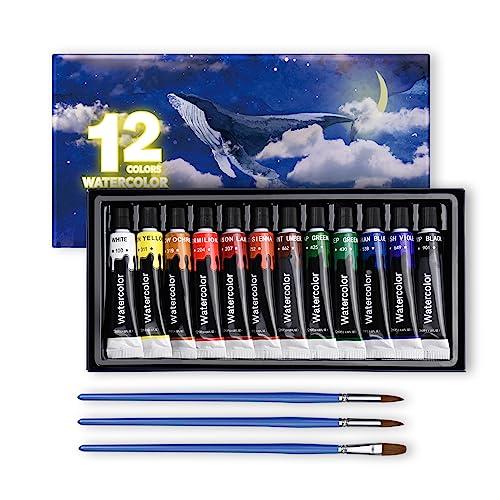 15点セット 水彩絵の具 12色 透明水彩絵の具 3本ブラシ付き チューブ 速乾 手軽 無毒性 耐光...