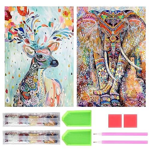 サムコス ダイヤモンドアート キット ダイヤモンドの絵画 2個セット きれい 全面貼り付け ダイヤモ...