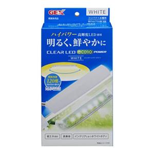 ジェックス GEX クリアLED エコリオアーム パワー ホワイト 小型LED ハイパワーLED 白色光｜kirelab-net