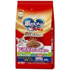 銀のスプーン 贅沢うまみ仕立て 下部尿路の健康維持用 1歳~10歳頃まで お魚づくし 800g｜kirelab-net