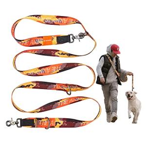 JC HOUSE 犬 リード 中型犬 大型犬専用 肩掛けリード 6in1 多機能リード 訓練 散歩 犬用リード 長さ2.5m 頑丈 高強度材料｜kirelab-net