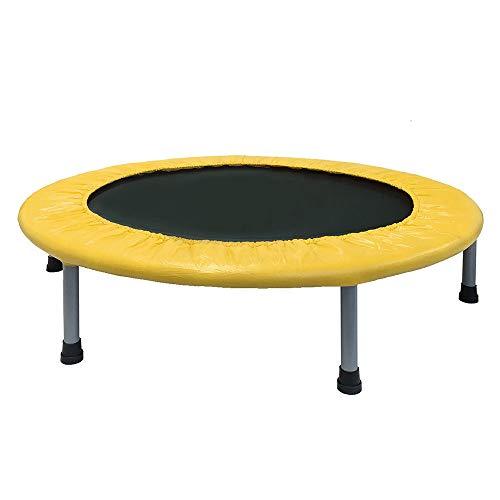 アイリスプラザ トランポリン 室内用 静音 安全 折りたたみ ゴム式 大人 子供 100cm 耐荷重...