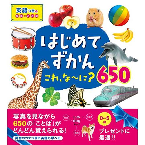 はじめてずかん これ、な~に?650