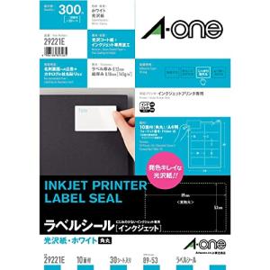 エーワン ラベルシール 光沢紙 インクジェット 10面 30シート 29221 タイプ｜kirelab-net