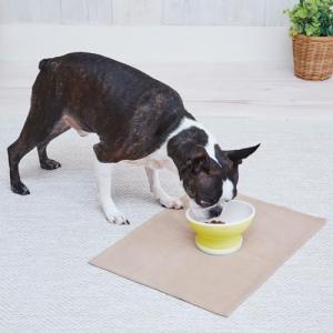 ペティオ (Petio) 犬用食器 Porta 脚付き食器 S｜kirelab-net