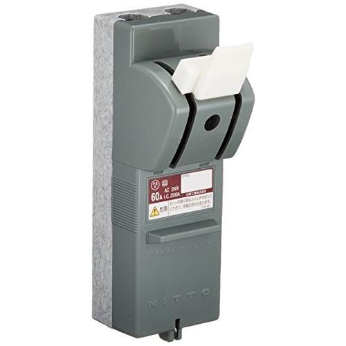 日東工業 CKSカバースイッチ 電線直締用 2P 60A CKS2P60A
