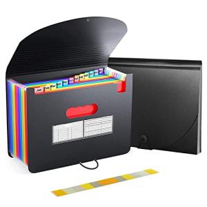 Homdolaser ドキュメントスタンド A4 ドキュメントファイル 13ポケット アコーディオンファイル 書類収納ケース 色別ファイリング｜kirelab-net