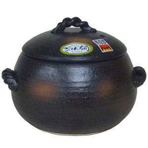 エールネット 三鈴陶器 ごはん鍋 ご飯土鍋 5合炊き 四日市 万古焼 ブラウン｜kirelab-net