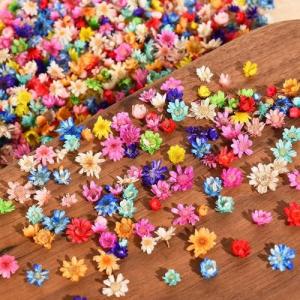 ドライフラワー レジン用 カラーは 約300個入 樹脂ミニフラワー レジン ドライフラワー エンボス材ネイルペンダントDIYクラフトクラフト材料｜kirelab-net