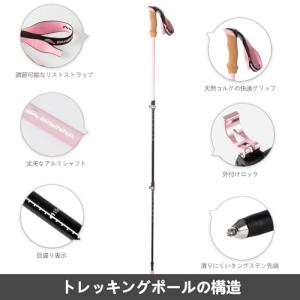 BISINNA トレッキングポール 63-13...の詳細画像1
