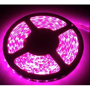 12Ｖ超高輝度 5M 600連 LEDテープ 防水 切断 白ベース/LEDグリーン 強力粘着両面テープ 正面発光 SMD 2835 3528 (｜kirelab-net