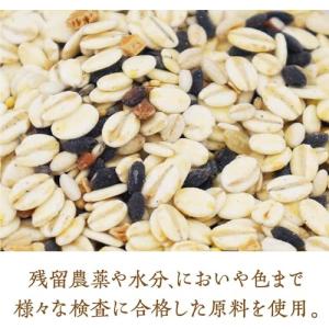はくばく 業務用十五穀ごはん もち麦ブレンド ...の詳細画像1