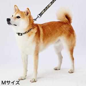 ペティオ (Petio) 首輪 EthicalDoor 迷彩カラー ブラック 犬 M サイズ｜kirelab-net