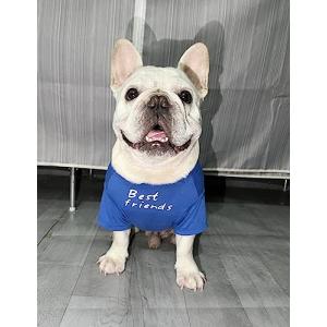 RIOSTUDIO 犬服 春 夏 (S〜XXLまで5サイズ展開) 犬の服 夏用 Tシャツ シンプル 涼しい 通気 おしゃれな英文字プリント わん｜kirelab-net