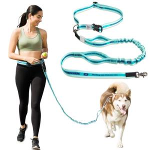 JC HOUSE 犬 リード 中型犬 大型犬用 ランニングリード ハンズフリー 腰ベルト付き 訓練 散歩 ジョギング 犬用リード 持ち手2個 伸｜kirelab-net