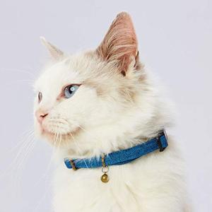 ペティオ (Petio) 首輪 necoco ネココ キャットカラー ポリエステル ブルー 猫｜kirelab-net