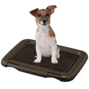 アイリスオーヤマ 犬 トイレ メッシュカバー付 フチもれしにくいトレーニングペットトレー レギュラー 銀イオン配合 抗菌 チャコールグレー｜kirelab-net