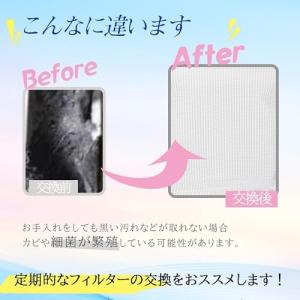 ISTORA 糸くずフィルター クズ取りネット...の詳細画像2
