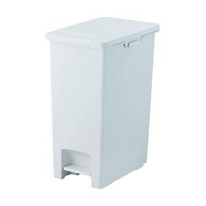 アスベル フタ付きゴミ箱 ECエバンペダル 軽いペダル 45L 白 衛生的 A6891｜kirelab-net