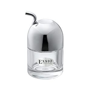 台和(Daiwa) 醤油差し シルバー 80ml 液だれ防止 ボタ落ちしにくい スタイリッシュ 日本製 エクシオ S EX-1｜kirelab-net