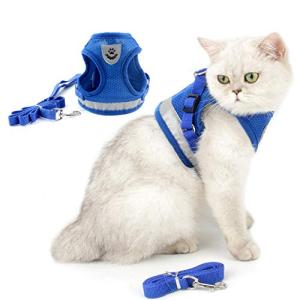RANPHY 猫用 ハーネス リードセット 抜けない かわいい 犬猫兼用 はーねす 反射テープ付き おしゃれ 胸あて式 足を上げず装着完成 子猫｜kirelab-net