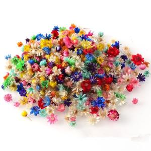 YAYAMIYA ドライフラワー 200個入り スターフラワー レジン用 ミニ 小さい 花 押し花 材 ネイル ペンダント DIY 手芸 クラフ｜kirelab-net