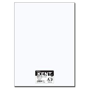 長門屋商店 ケント紙 A32冊セット 20枚入ナ-B304A*2｜kirelab-net