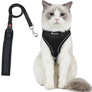 猫 猫用 ハーネス 胴輪 猫具 ねこ ネコ 子猫 子犬 小型犬 散歩 お出かけ 抜けない ベスト ソフト胸あて 軽量 頭を通さずマジックテープで｜kirelab-net