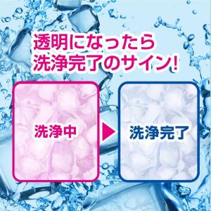 メール便発送 〔2個セット〕紀陽除虫菊 氷クリ...の詳細画像2