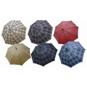 まとめ買い）コレクト カードホルダー アコーディオン式 赤 CP-615X-RE