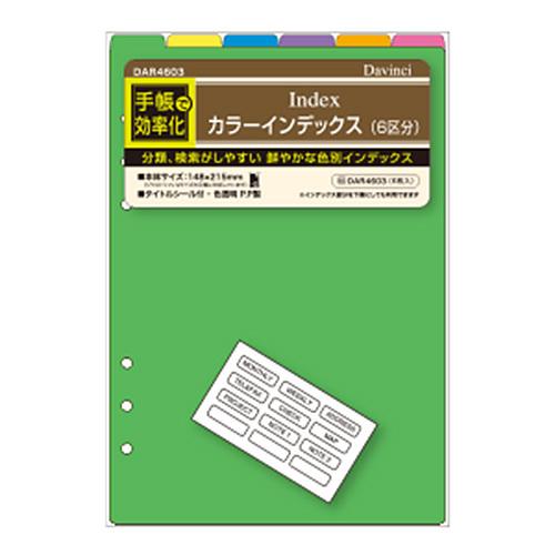 メール便発送 レイメイ藤井 ダヴィンチ リフィル A5 カラーインデックス DAR4603