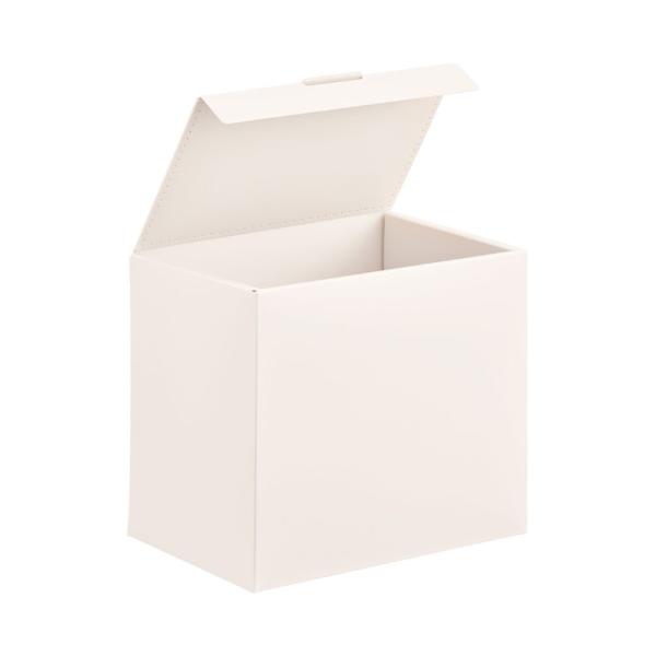（まとめ買い）プラス イトオシ 推し活 組立式PPBOX CDサイズ収納ボックス FL-370CF ...